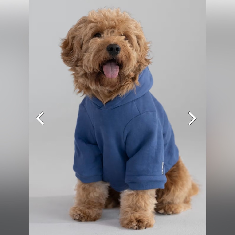 🆕🩵🐶 COMFRT | Signature PAW Hoodie SKY sold out Extra Large NWT